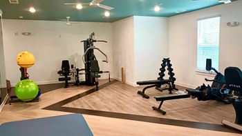 A gym with a variety of equipment including a green exercise ball, a yellow medicine ball, a treadmill, a stationary bike, a rowing machine, a bench press, and a squat rack.